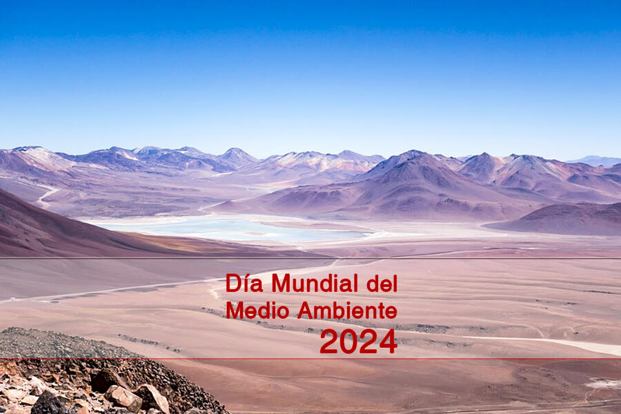 5 de Junio Día Mundial del Medio Ambiente