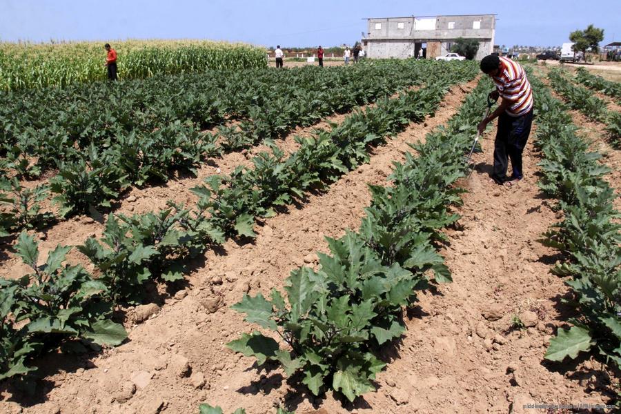 Aumenta pobreza y encarcelamiento en Gaza