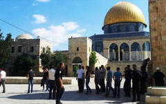 Colonos extremistas irrumpen en Al Aqsa