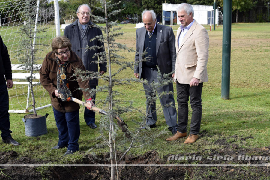 Teresa Valdéz (Comuna 12 - GCBA), participando en la plantación.