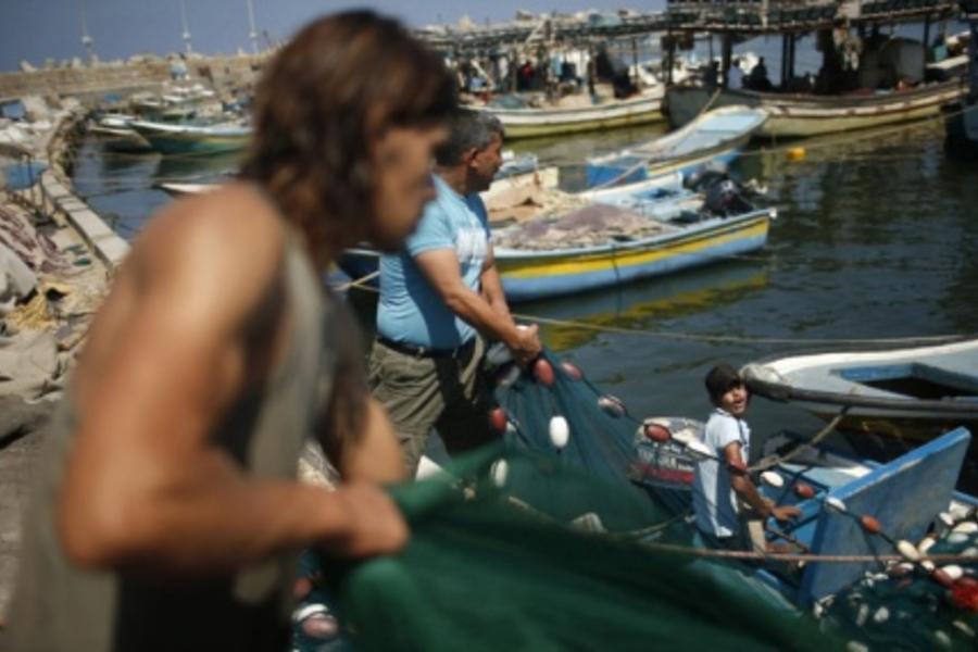 Gaza: el conflicto cuesta más de 100 millones de dólares a la agricultura y la pesca