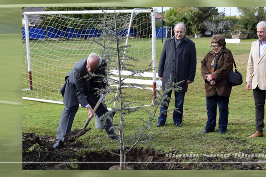 Adib Attie, Presidente del CSLBA, participando en la plantación.